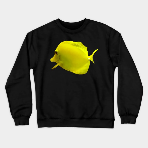 Fish - Yellow Tang Crewneck Sweatshirt by SusanSavad